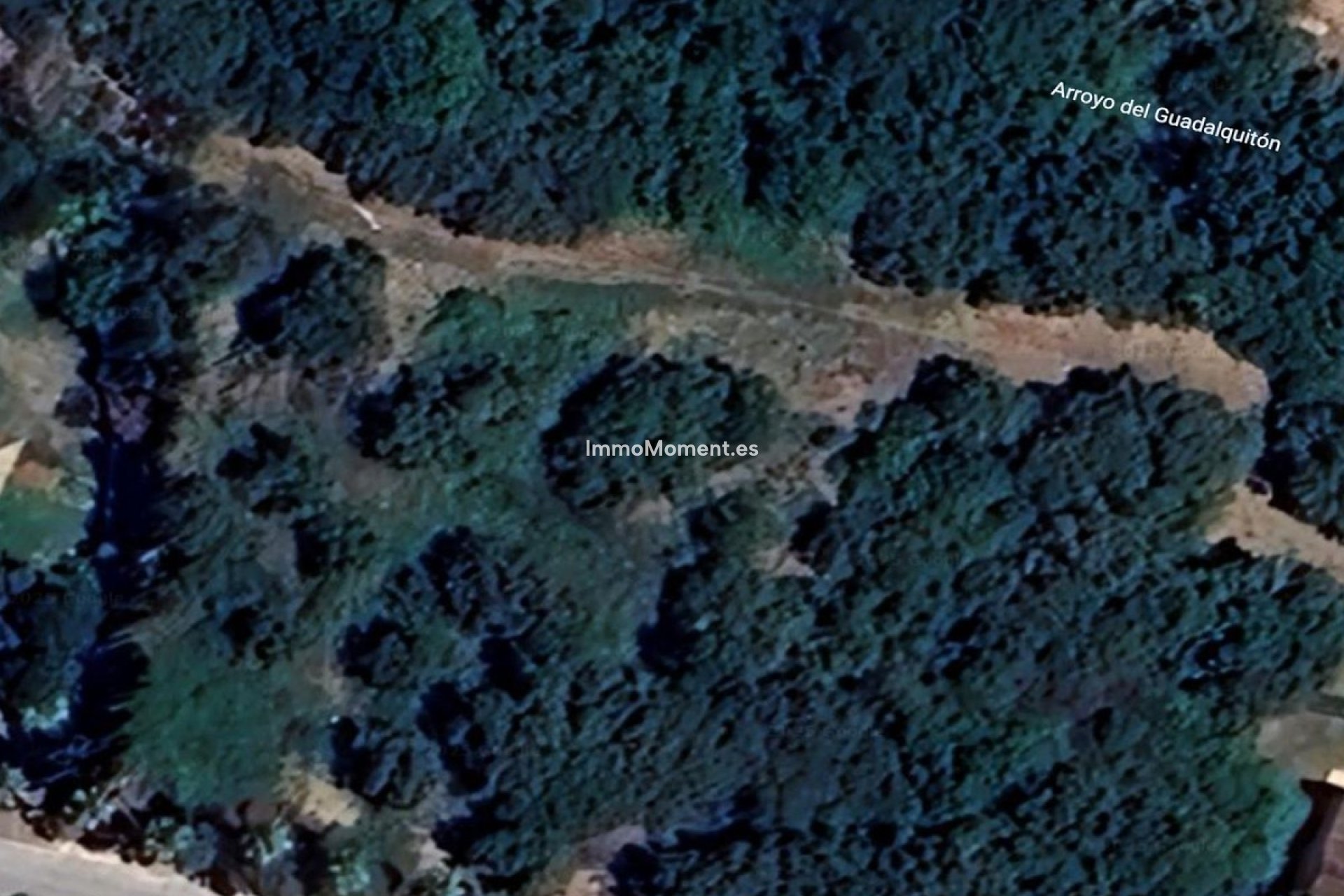 Obra nueva - Terreno - Sotogrande - Sotogrande Alto