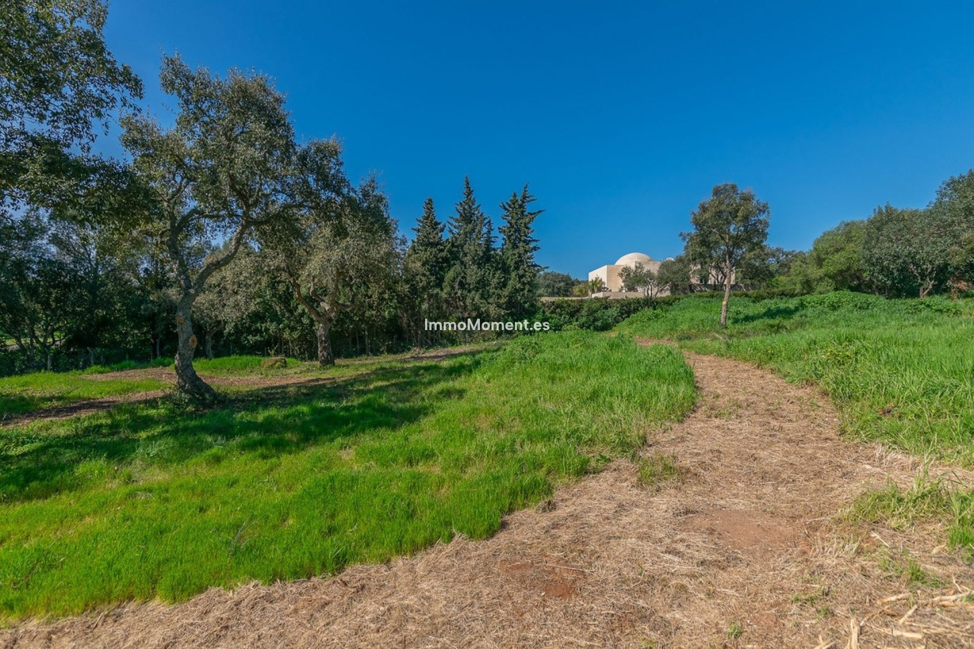 Obra nueva - Terreno - Sotogrande - Sotogrande Alto