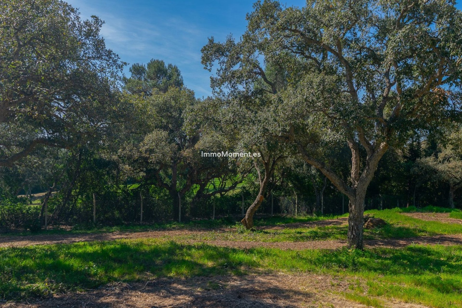 Obra nueva - Terreno - Sotogrande - Sotogrande Alto