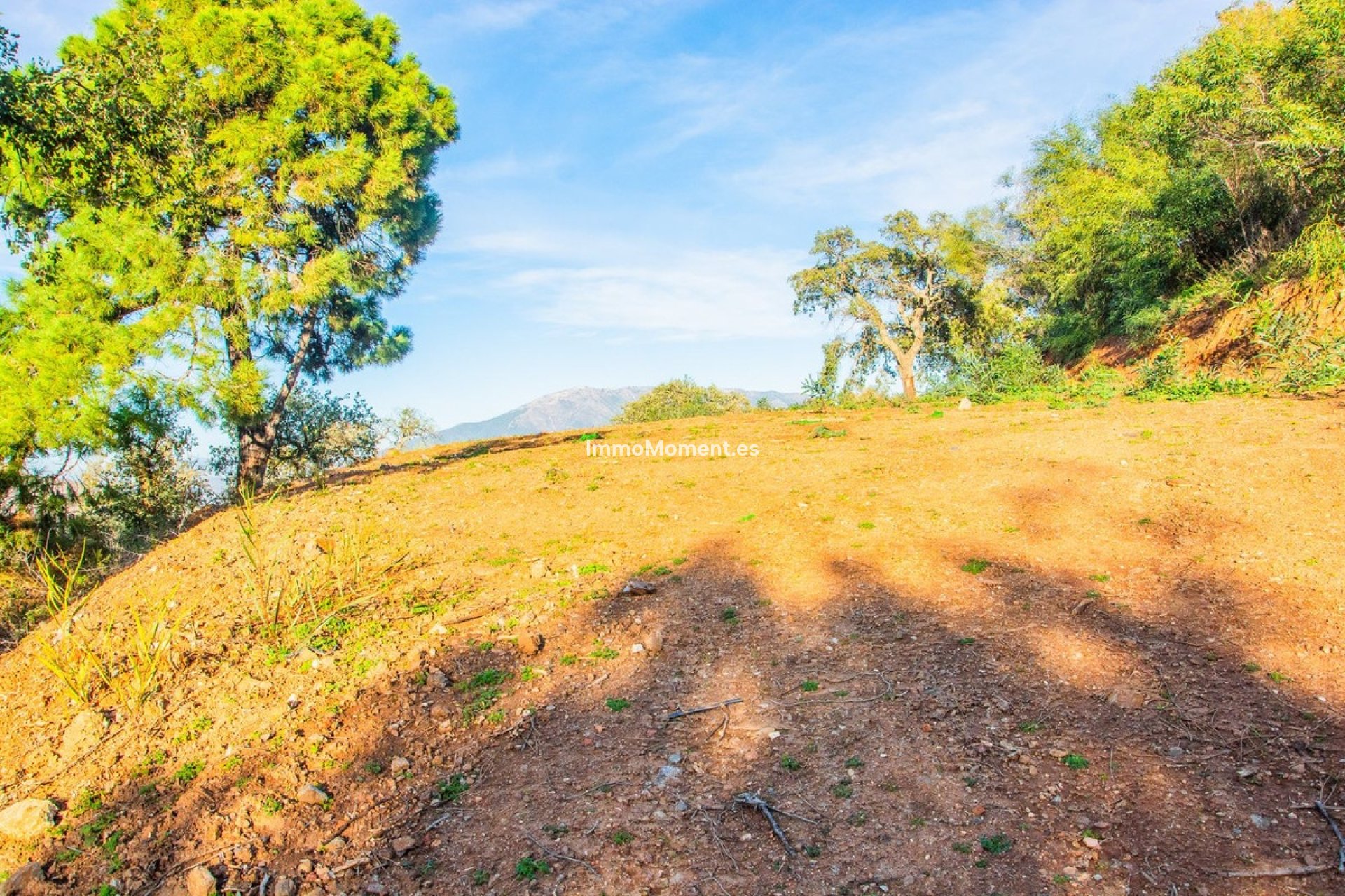 Obra nueva - Villa - Marbella - La Mairena
