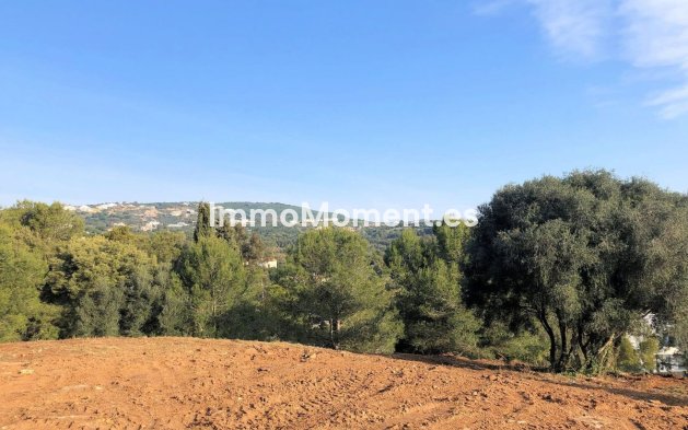 Parcela - Reventa - Sotogrande - Sotogrande Alto