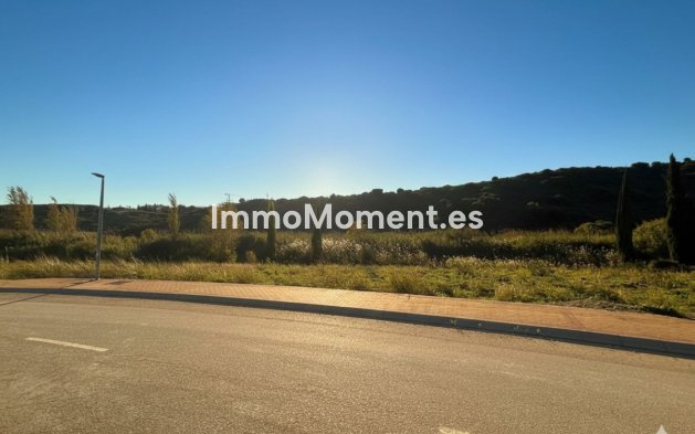 Parcelle - Revente - Casares - Casares Playa