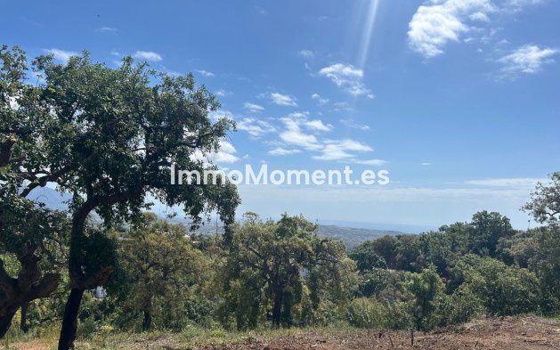 Parcelle - Revente - Marbella - La Mairena