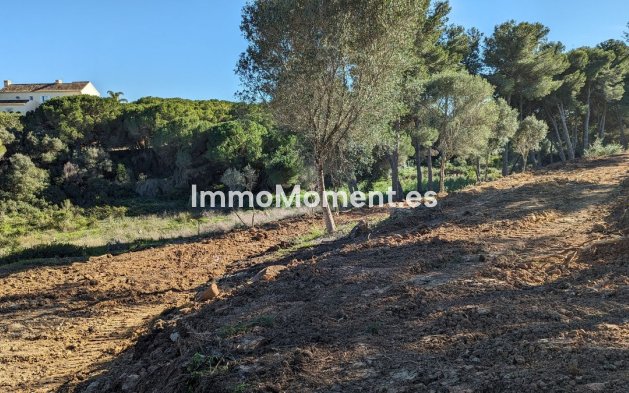 Parcelle - Revente - Sotogrande - Sotogrande