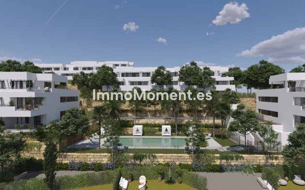 Penthouse - Construction neuve - Casares - Casares