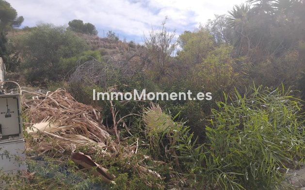 Perceel - Bestaande woning - Algorfa - Algorfa Centro