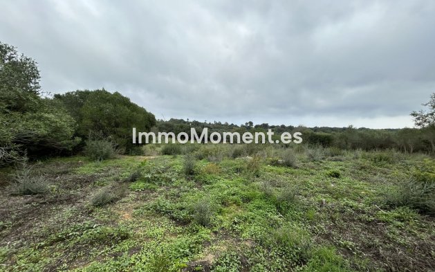 Perceel - Bestaande woning - Sotogrande - Sotogrande Alto