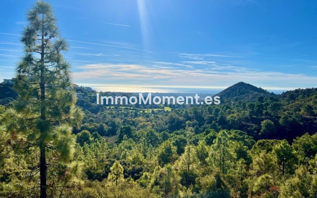 Plot - Resale - Benahavís - Benahavís Centro