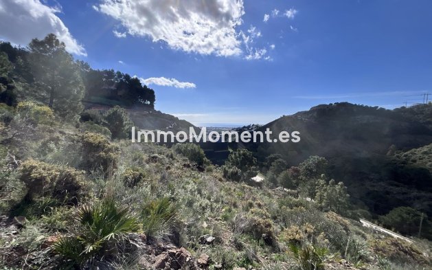 Plot - Resale - Benahavís - El Madroñal