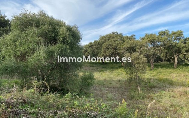 Plot - Resale - Sotogrande - San Roque Club