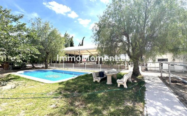 Reihenhaus - Wiederverkauf - Orihuela - Orihuela Centro