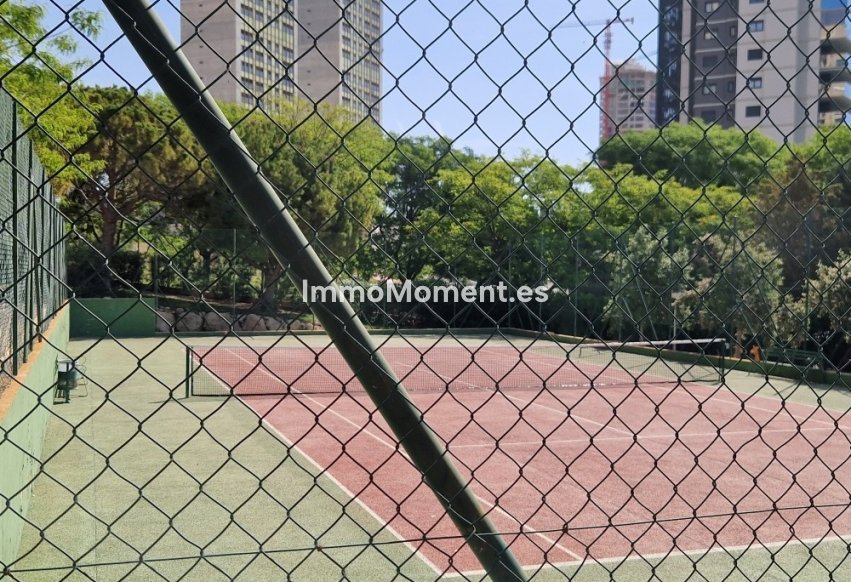 Resale - Apartment - Benidorm - Benidorm Centro