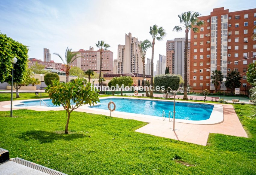 Resale - Apartment - Benidorm - Benidorm Centro
