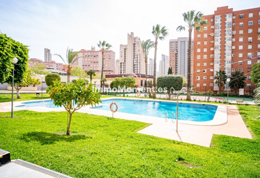 Resale - Apartment - Benidorm - Benidorm Centro
