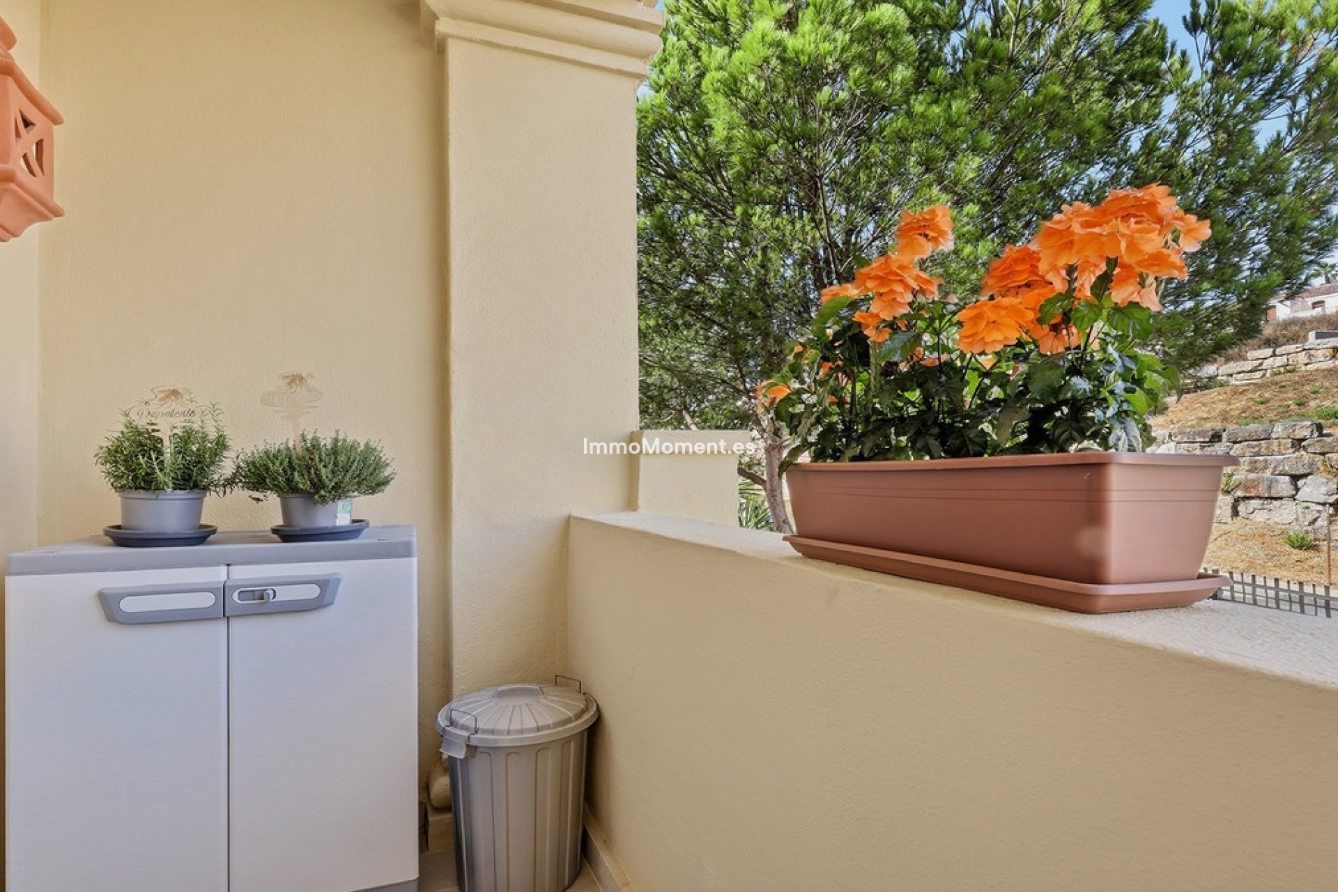 Resale - Apartment - Casares - Casares Centro