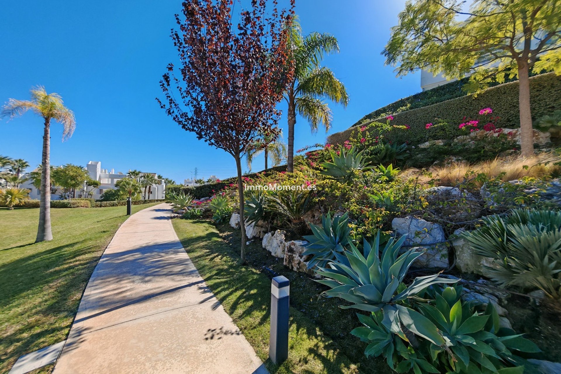 Resale - Apartment - Casares - Casares Centro