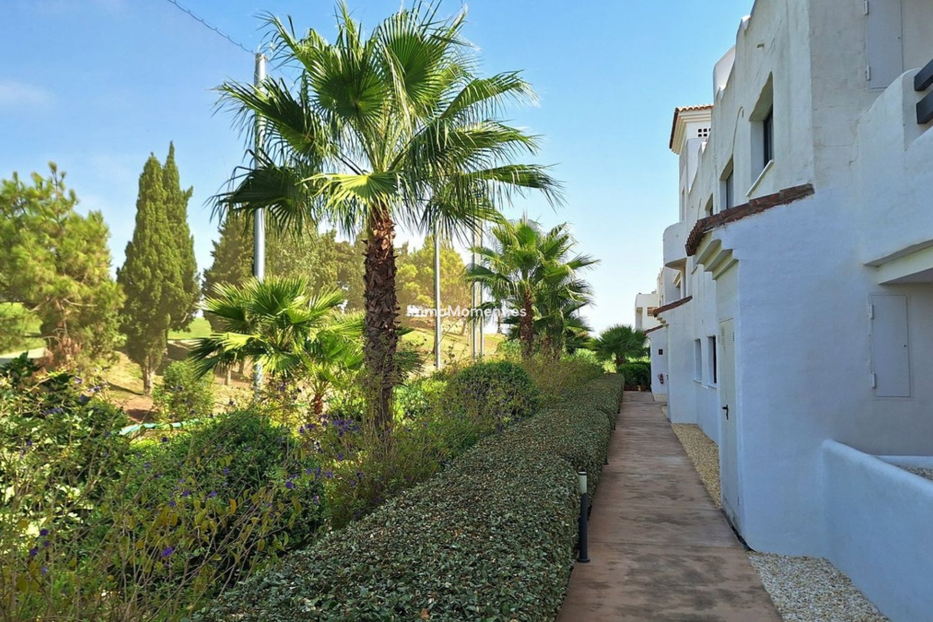 Resale - Apartment - Casares - Casares Playa