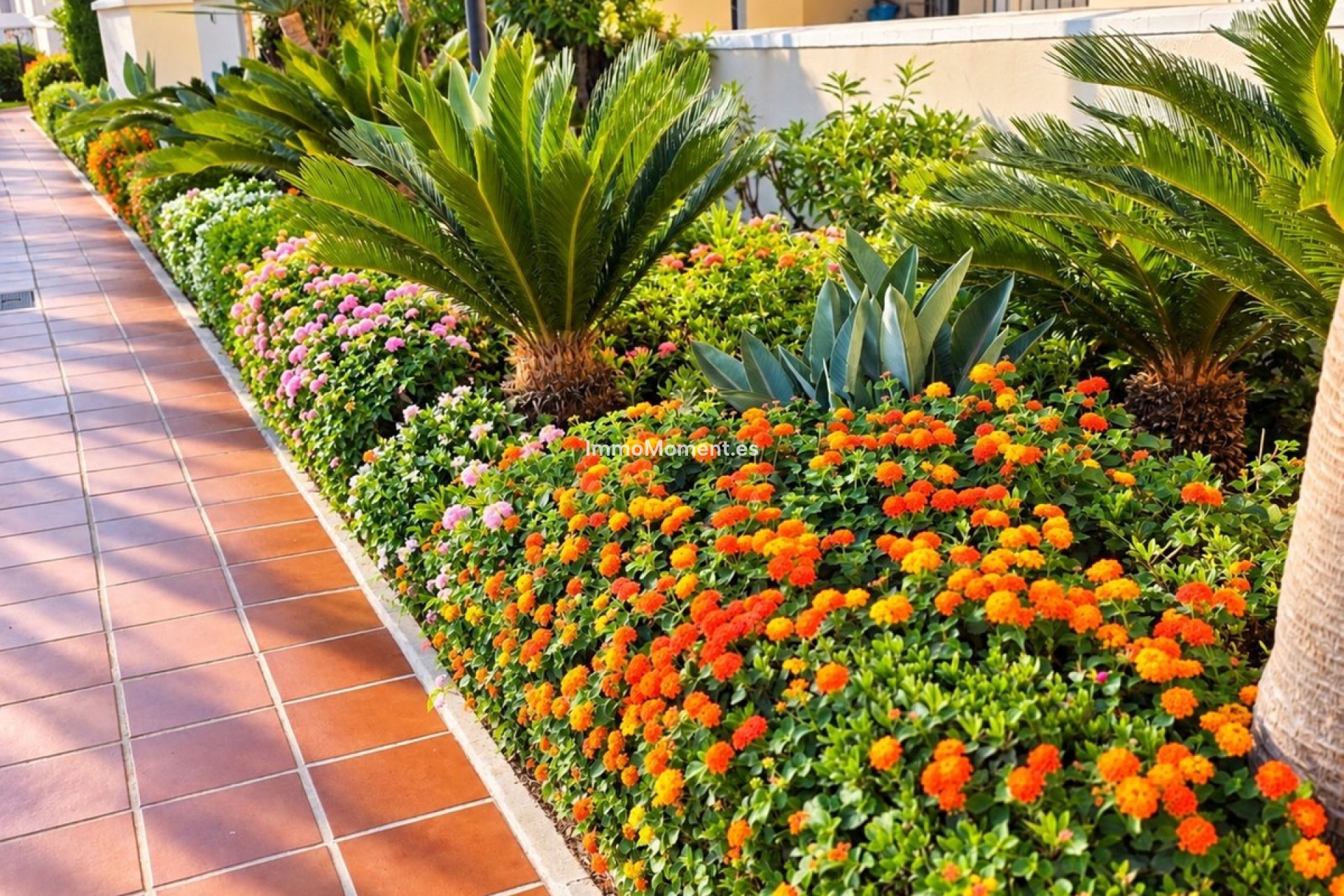 Resale - Apartment - Casares - Casares Playa
