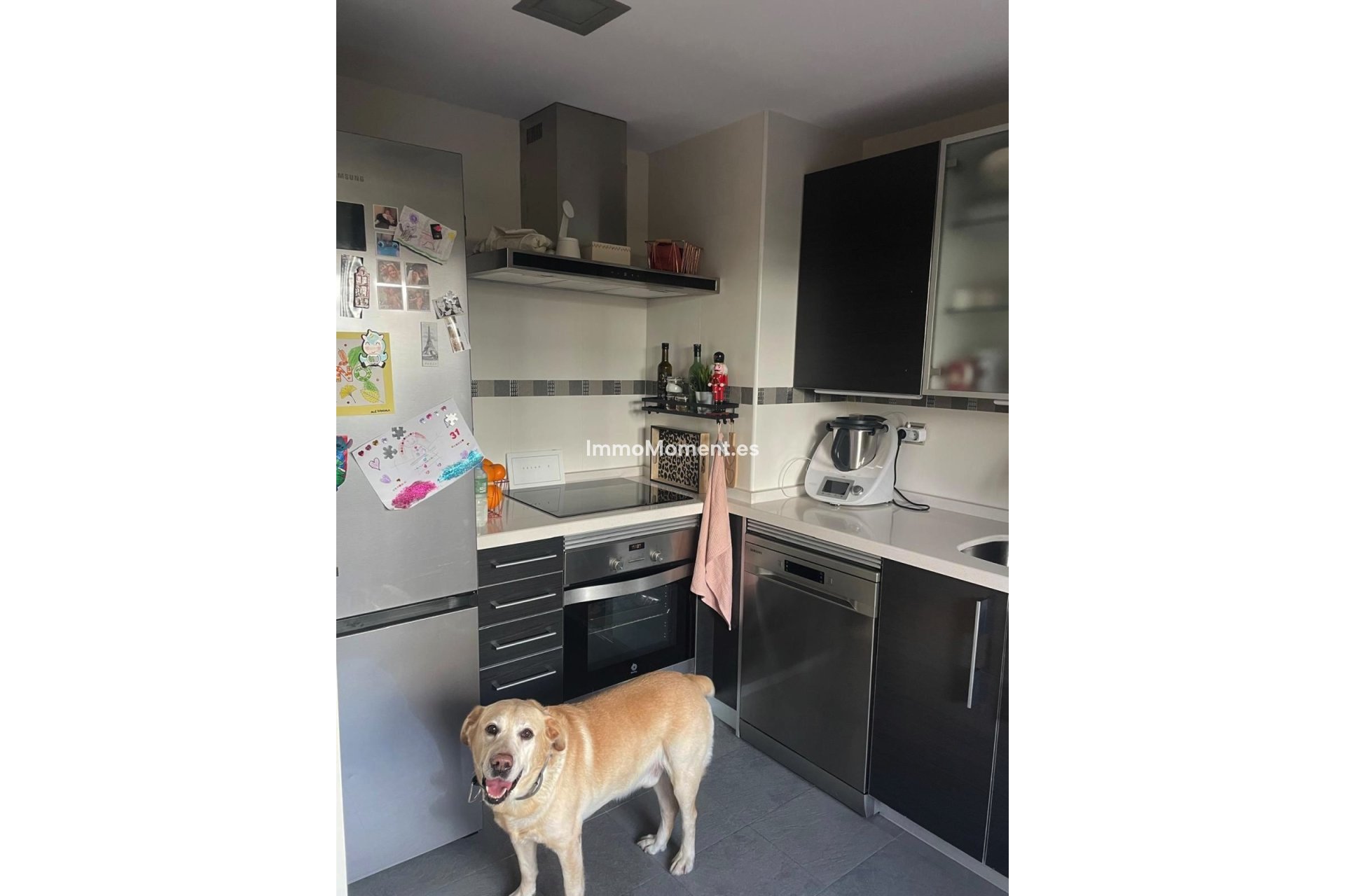 Resale - Apartment - Casares - Casares Playa