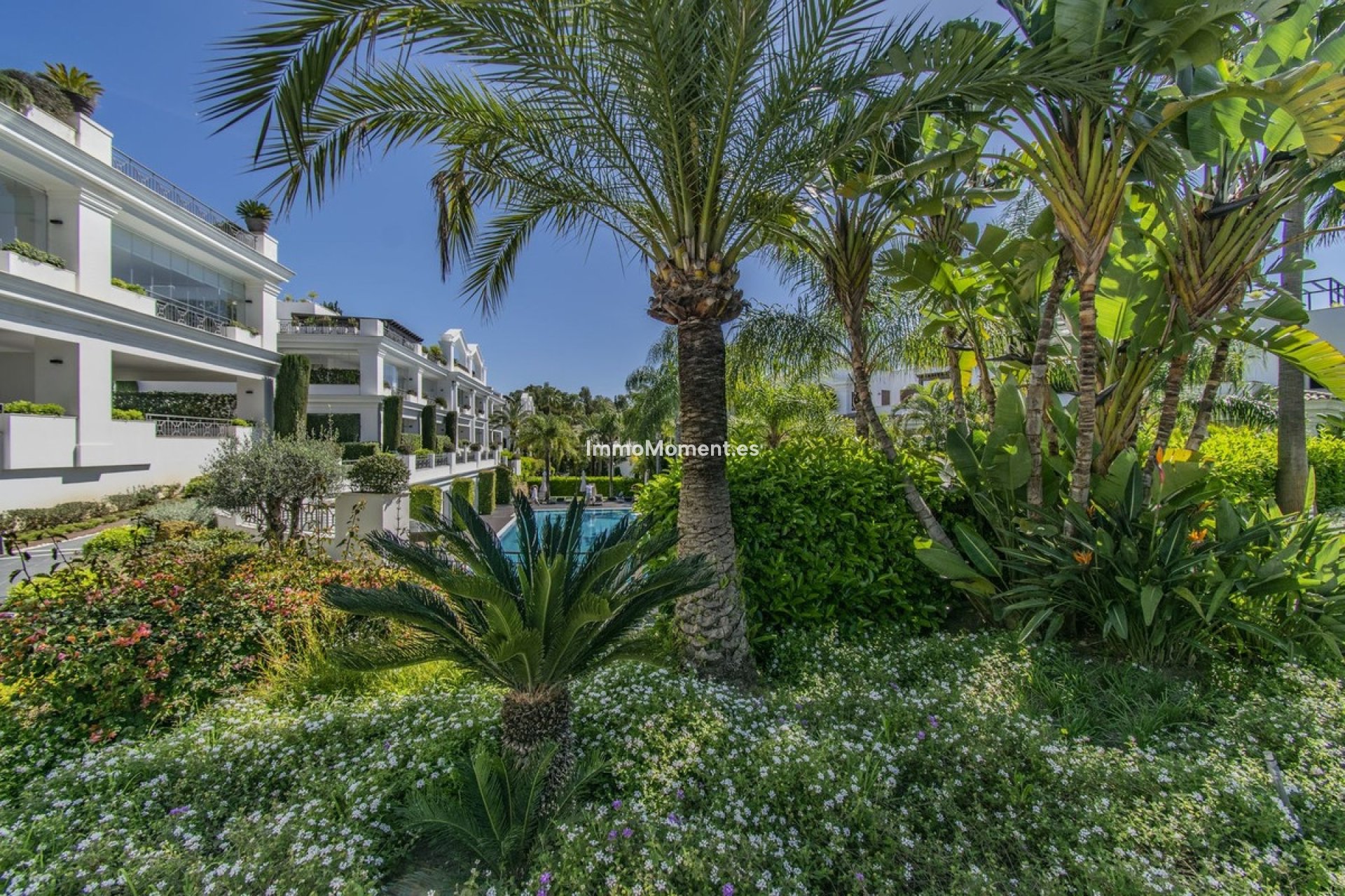 Resale - Apartment - Estepona - Estepona Centro