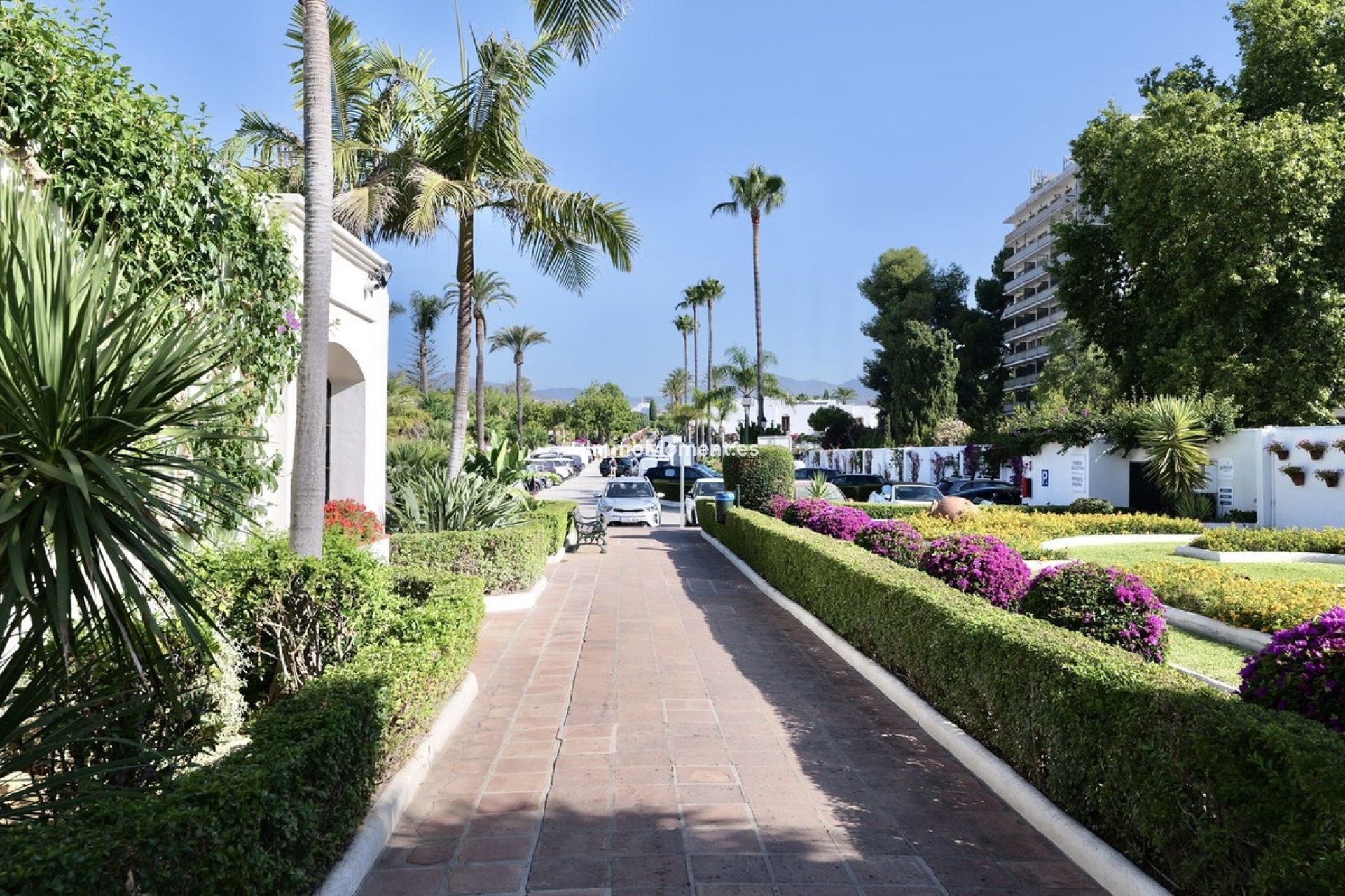 Resale - Apartment - Estepona - Estepona Centro