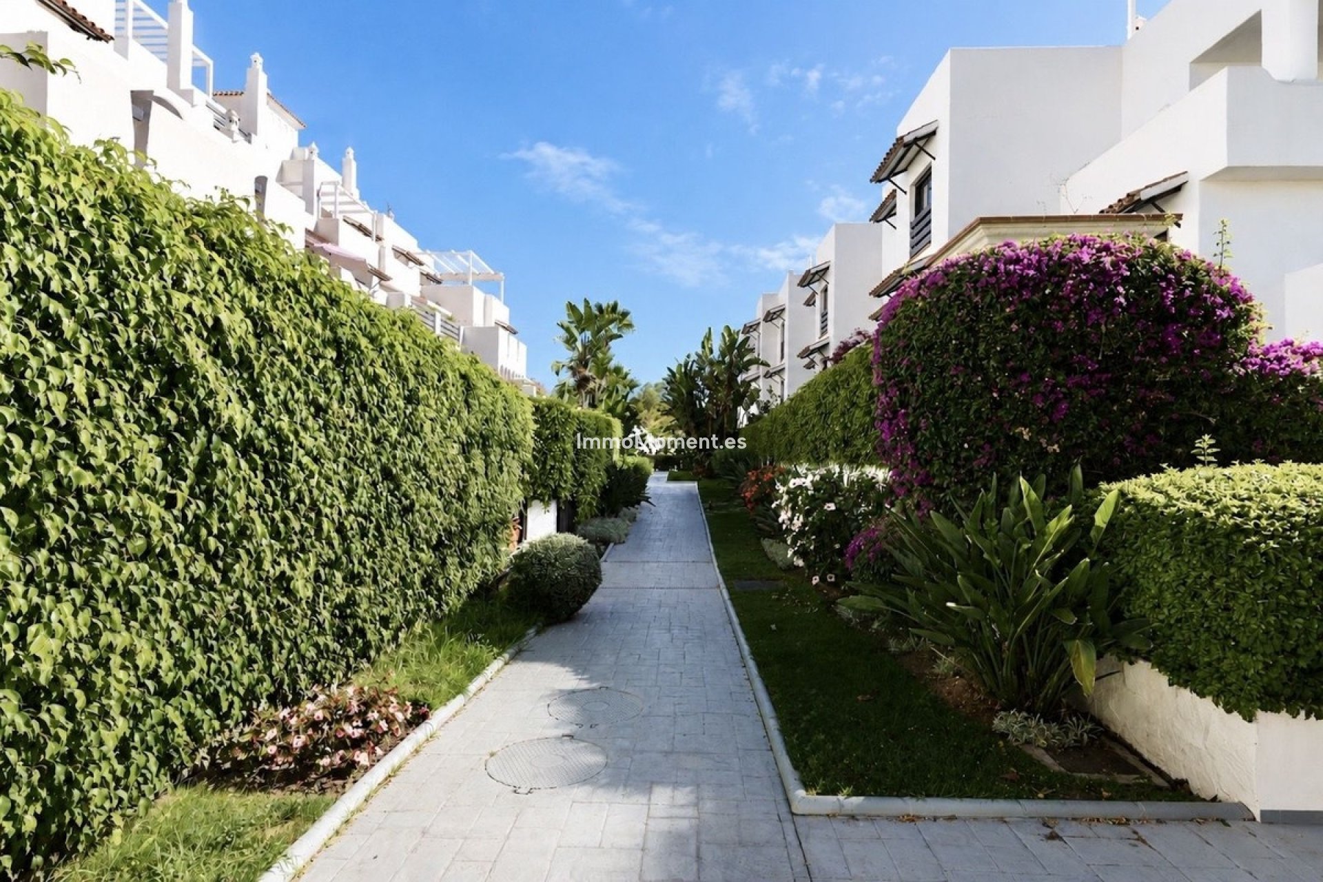 Resale - Apartment - Estepona - Selwo