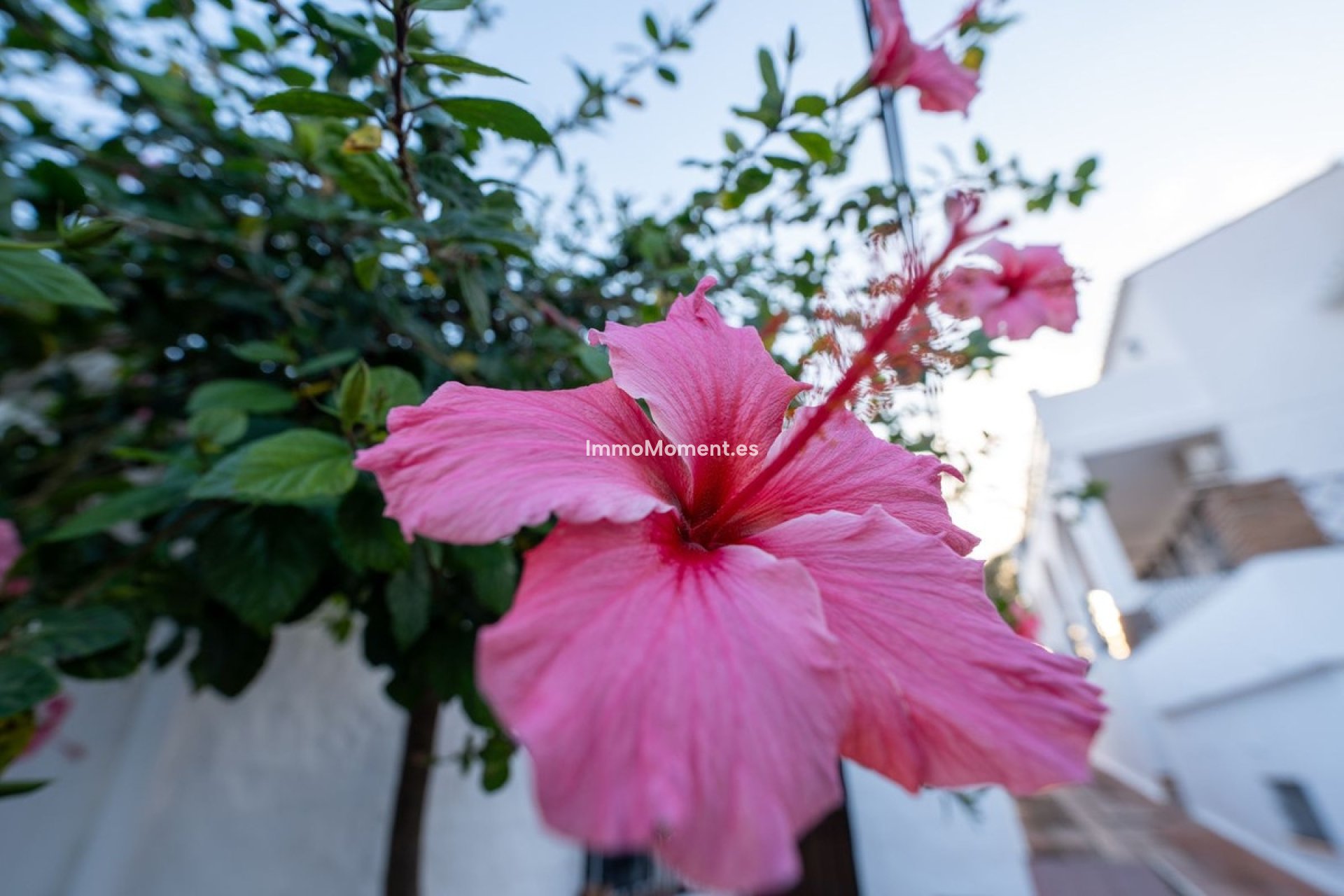 Resale - Apartment - Fuengirola - Torreblanca