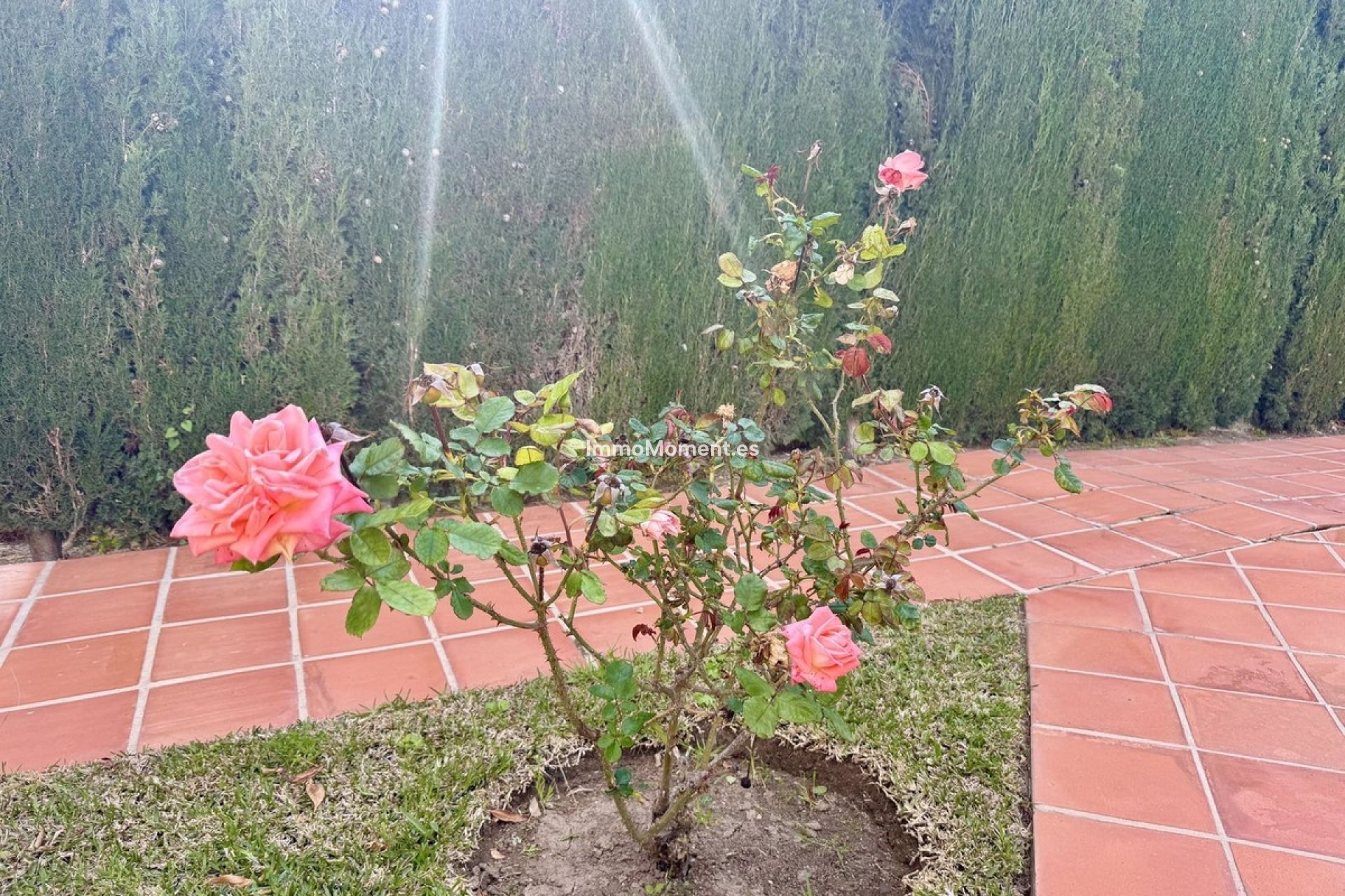 Resale - Apartment - Fuengirola - Torreblanca