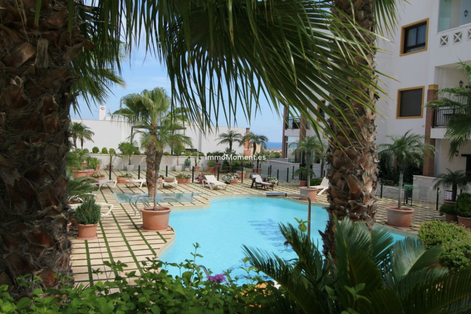 Resale - Apartment - Guardamar del Segura - Guardamar del Segura Centro