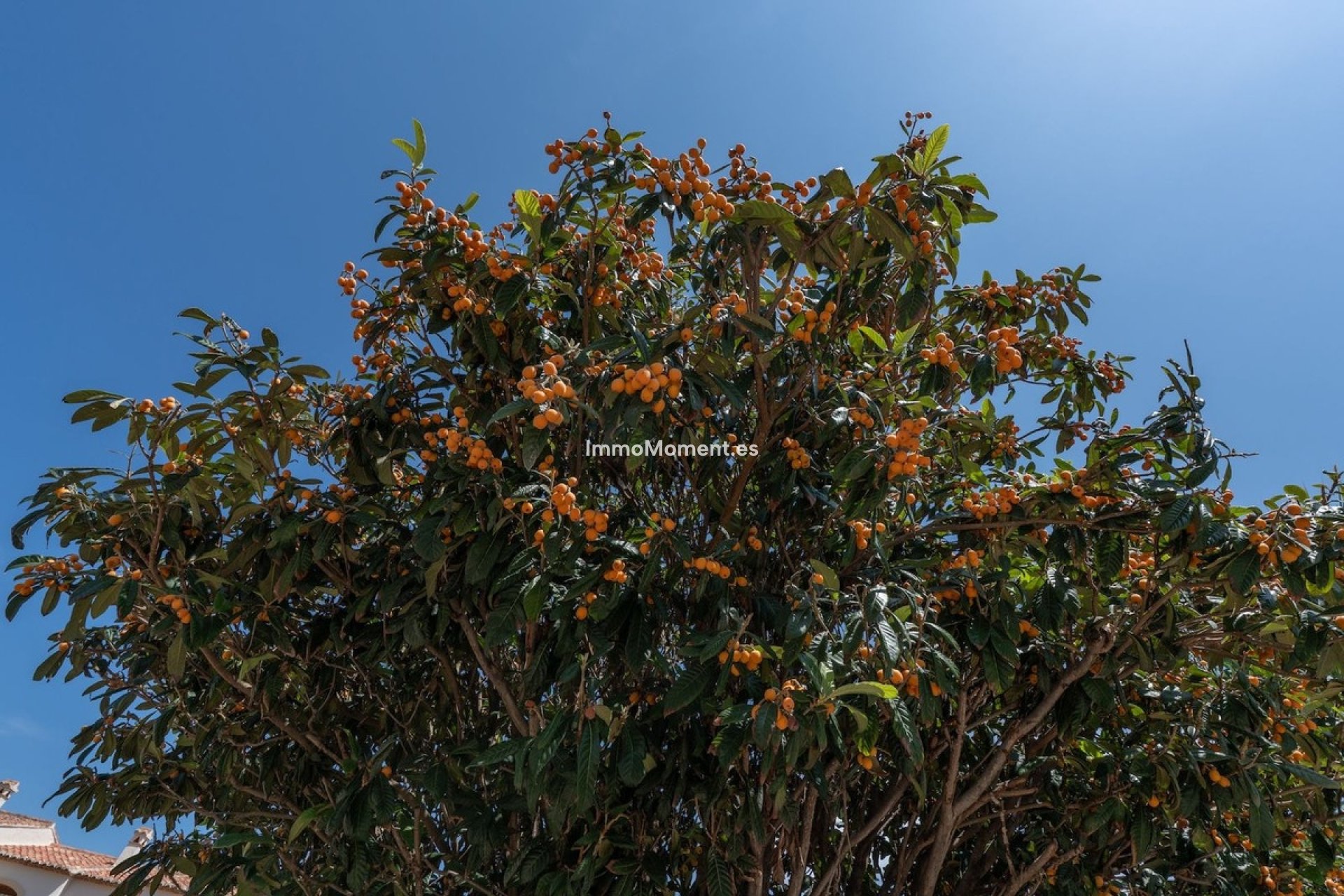 Resale - Apartment - Jávea - Jávea - Xàbia Centro