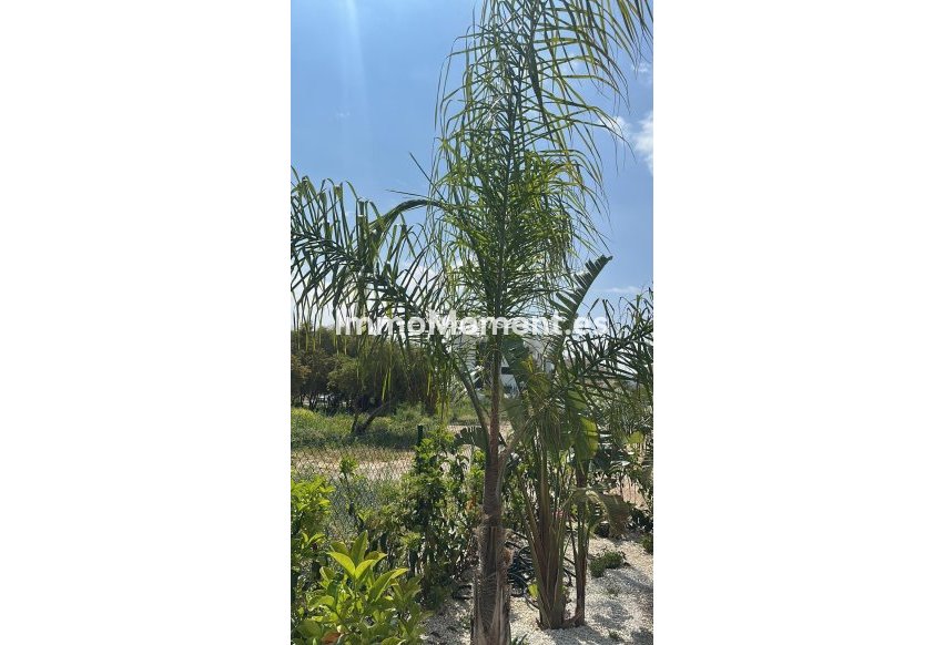 Resale - Apartment - Jávea - Jávea - Xàbia Centro