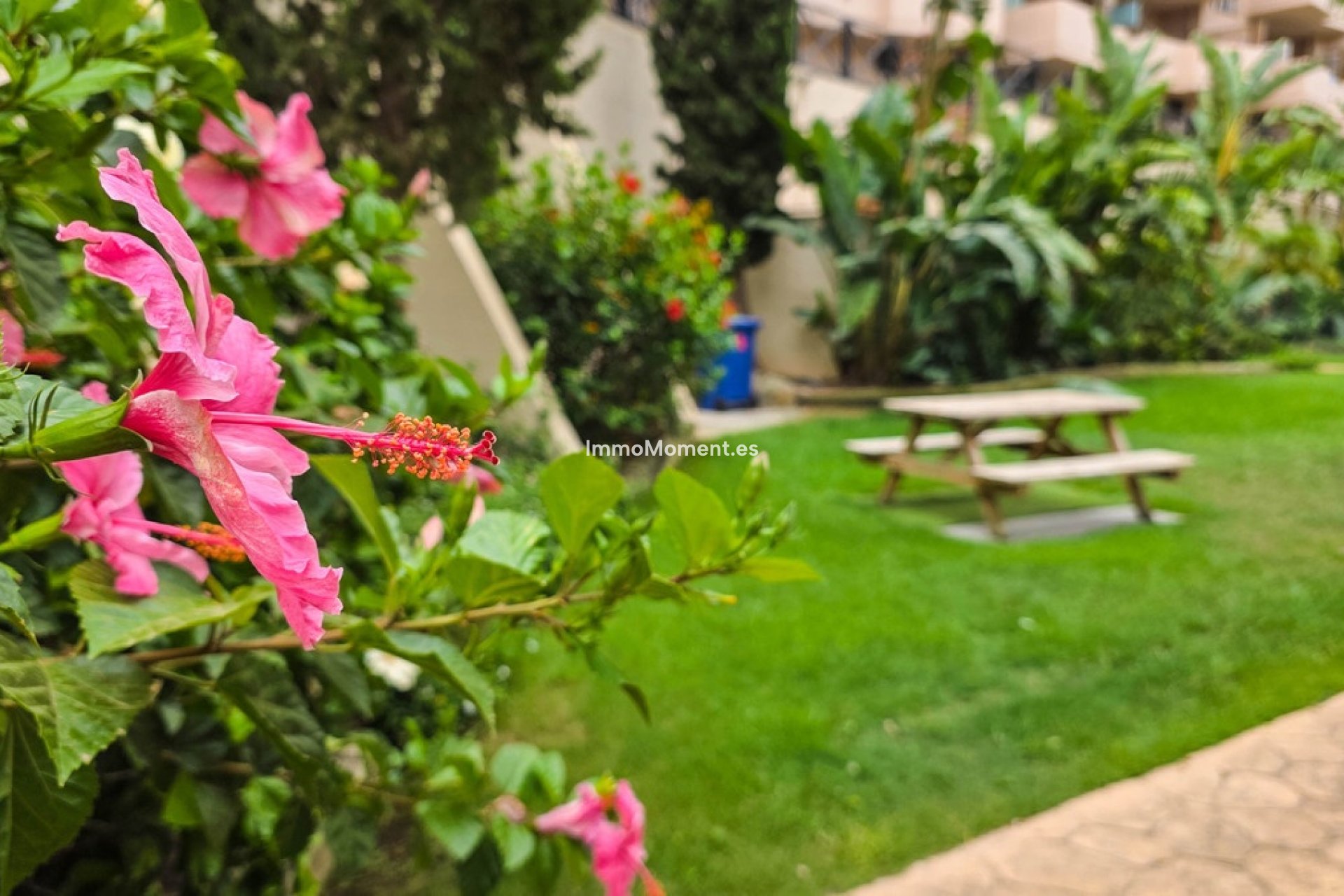 Resale - Apartment - Manilva - La Duquesa