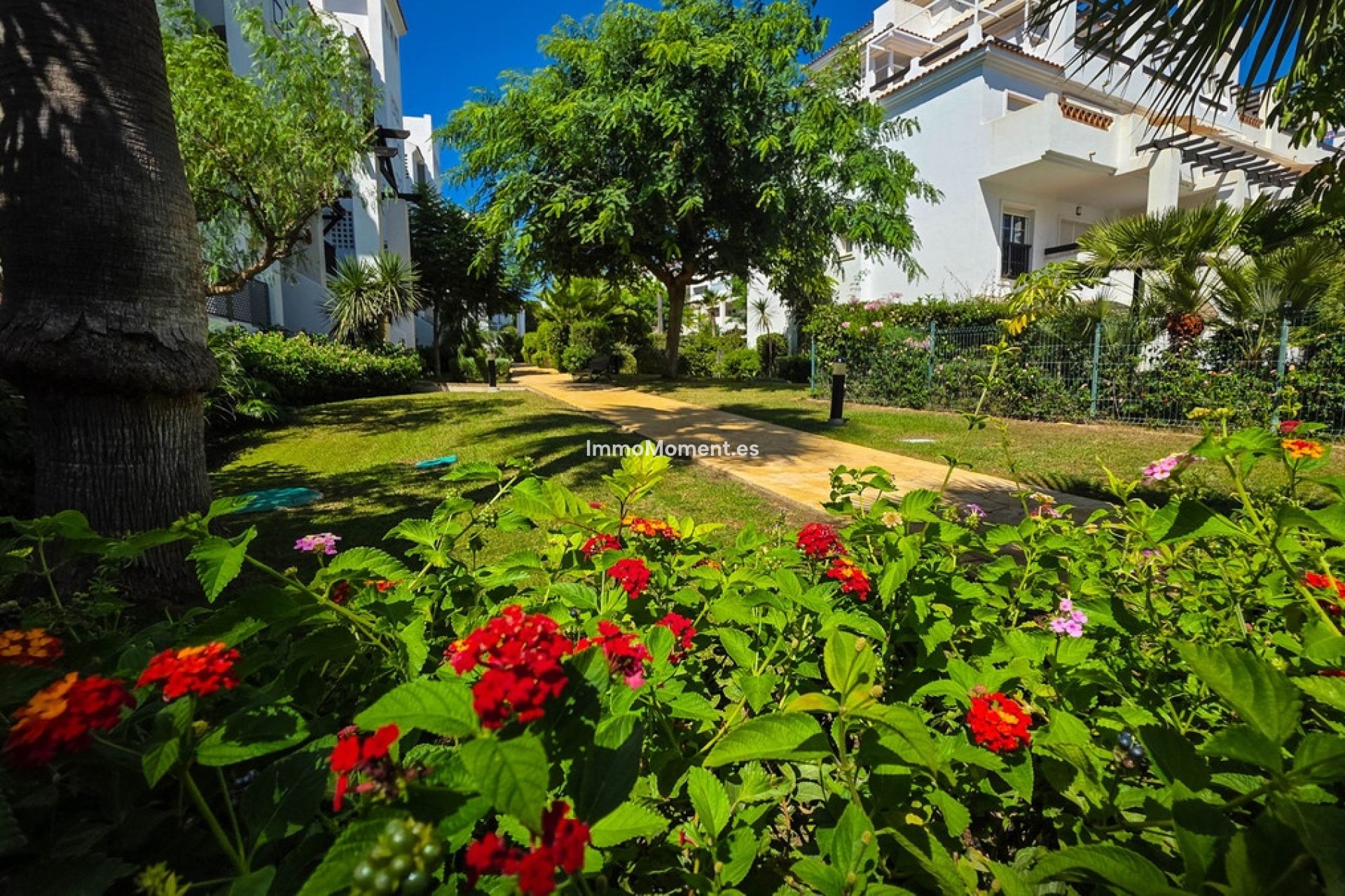 Resale - Apartment - Manilva - San Luis de Sabinillas