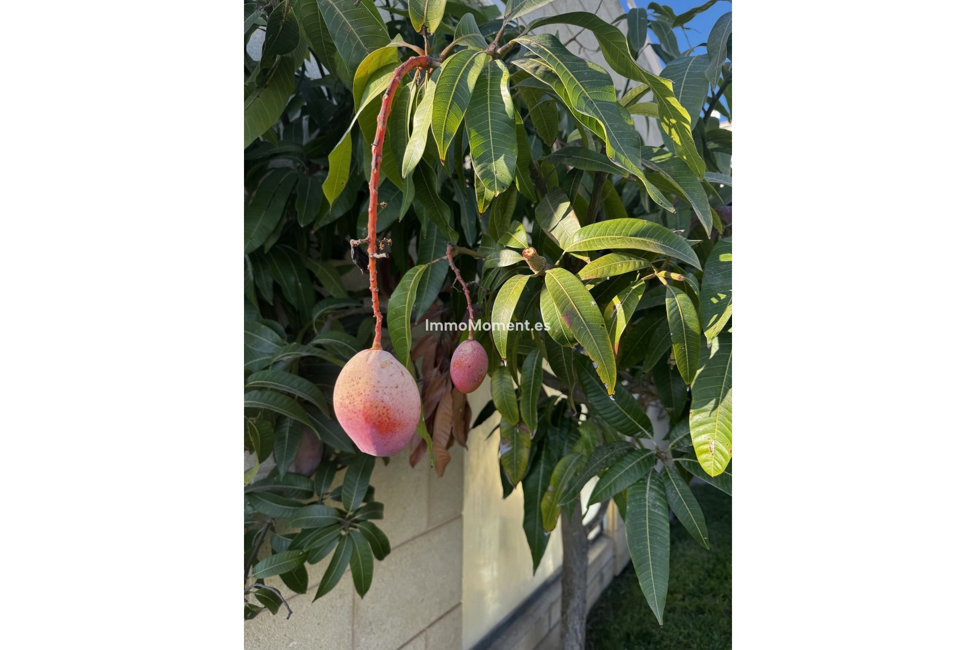 Resale - Apartment - Marbella - Altos de los Monteros