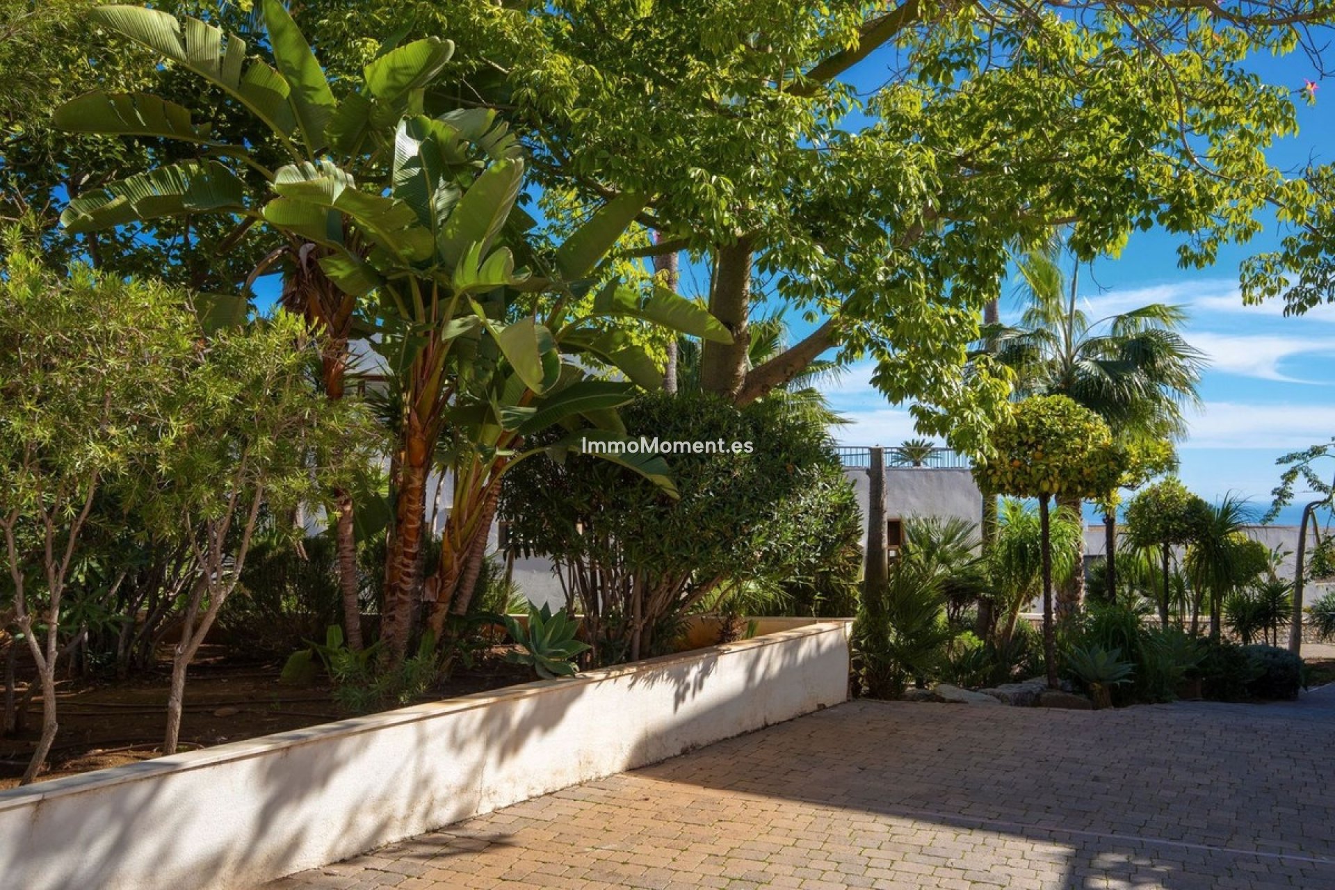 Resale - Apartment - Marbella - Altos de los Monteros