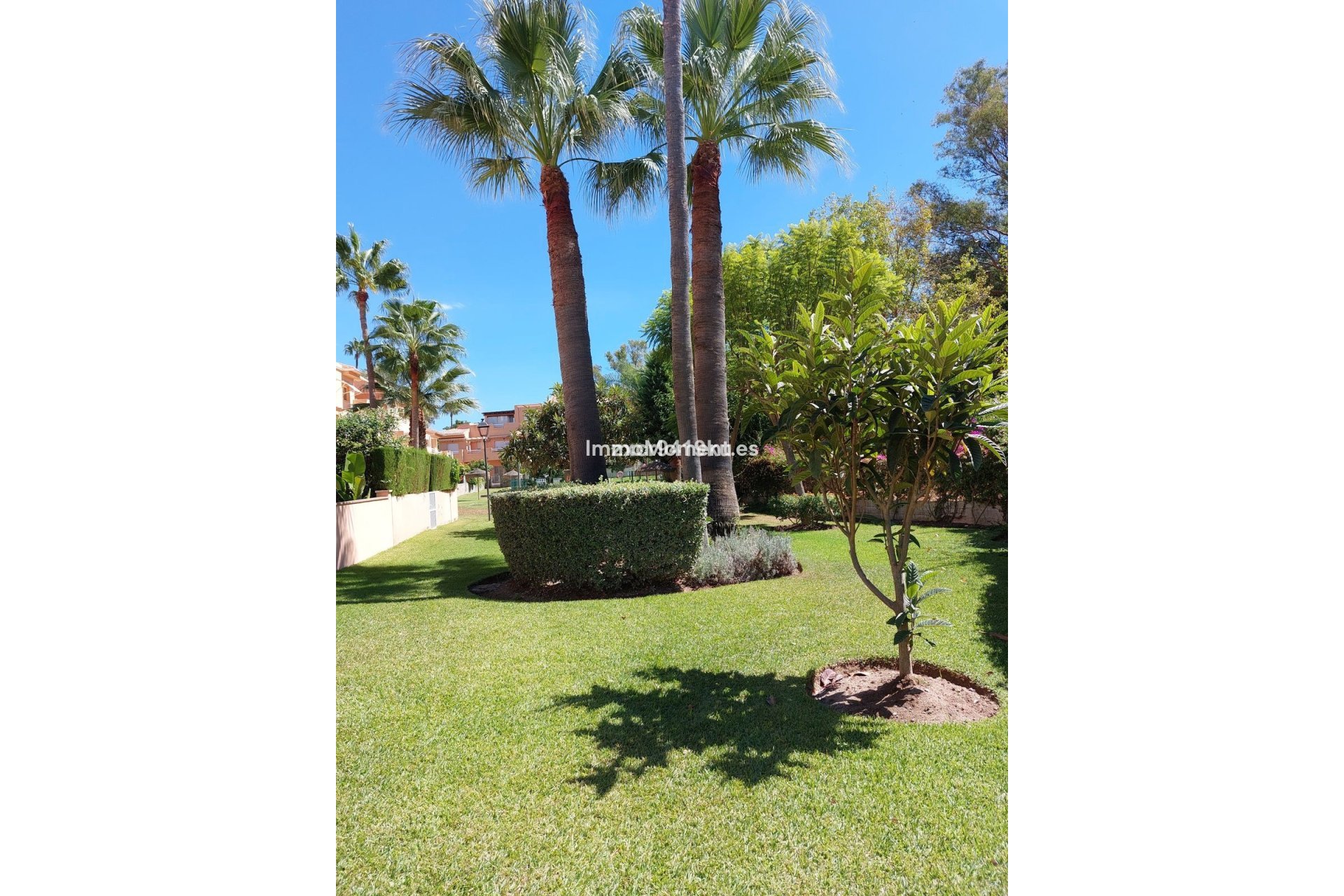 Resale - Apartment - Marbella - Carib Playa