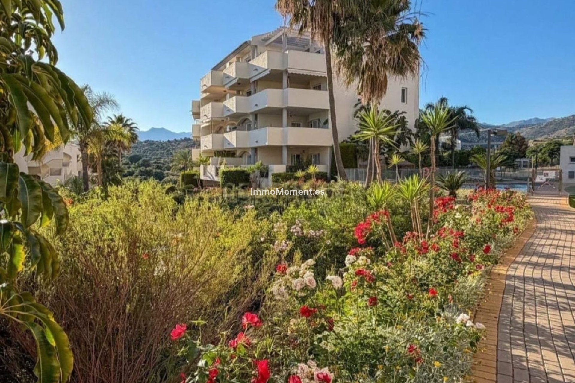 Resale - Apartment - Marbella - Elviria