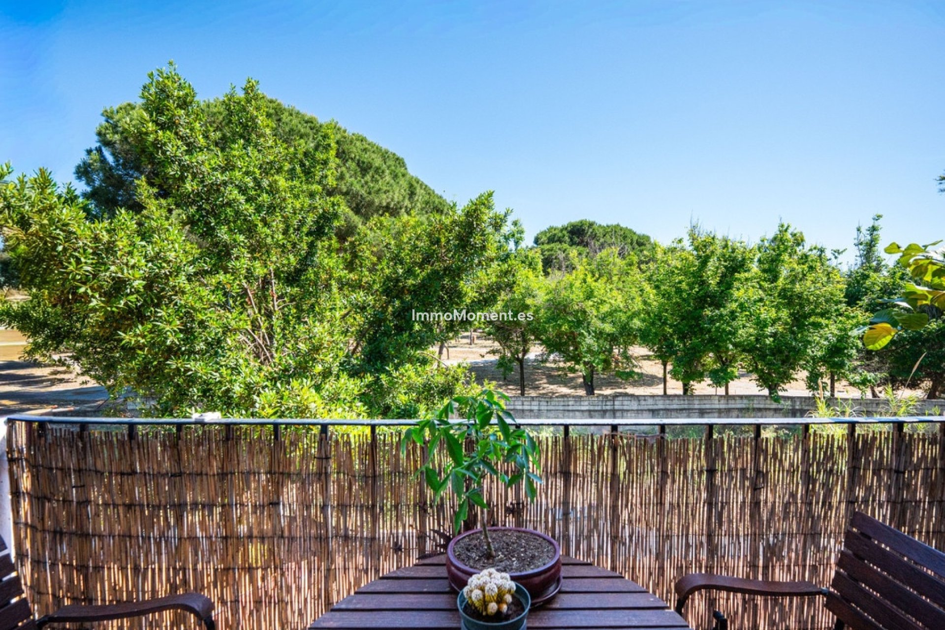Resale - Apartment - Marbella - Elviria