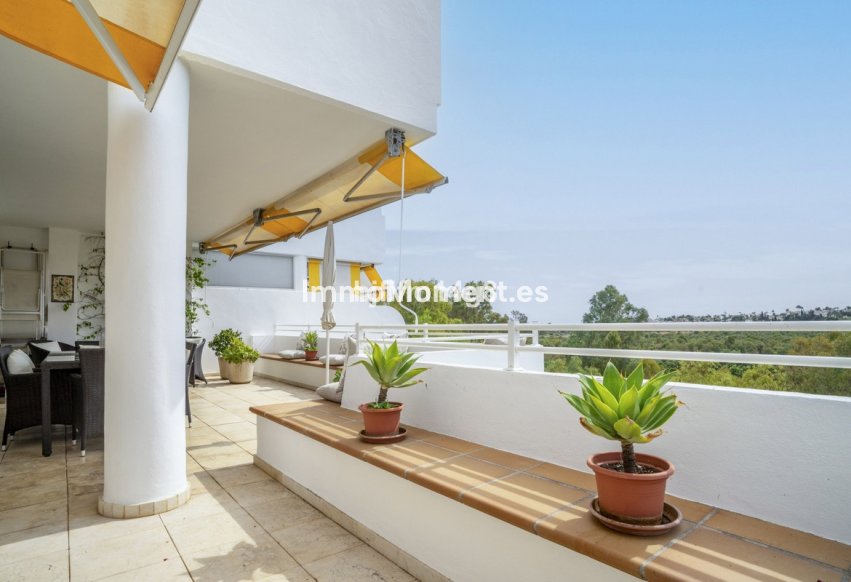 Resale - Apartment - Marbella - Guadalmina Alta