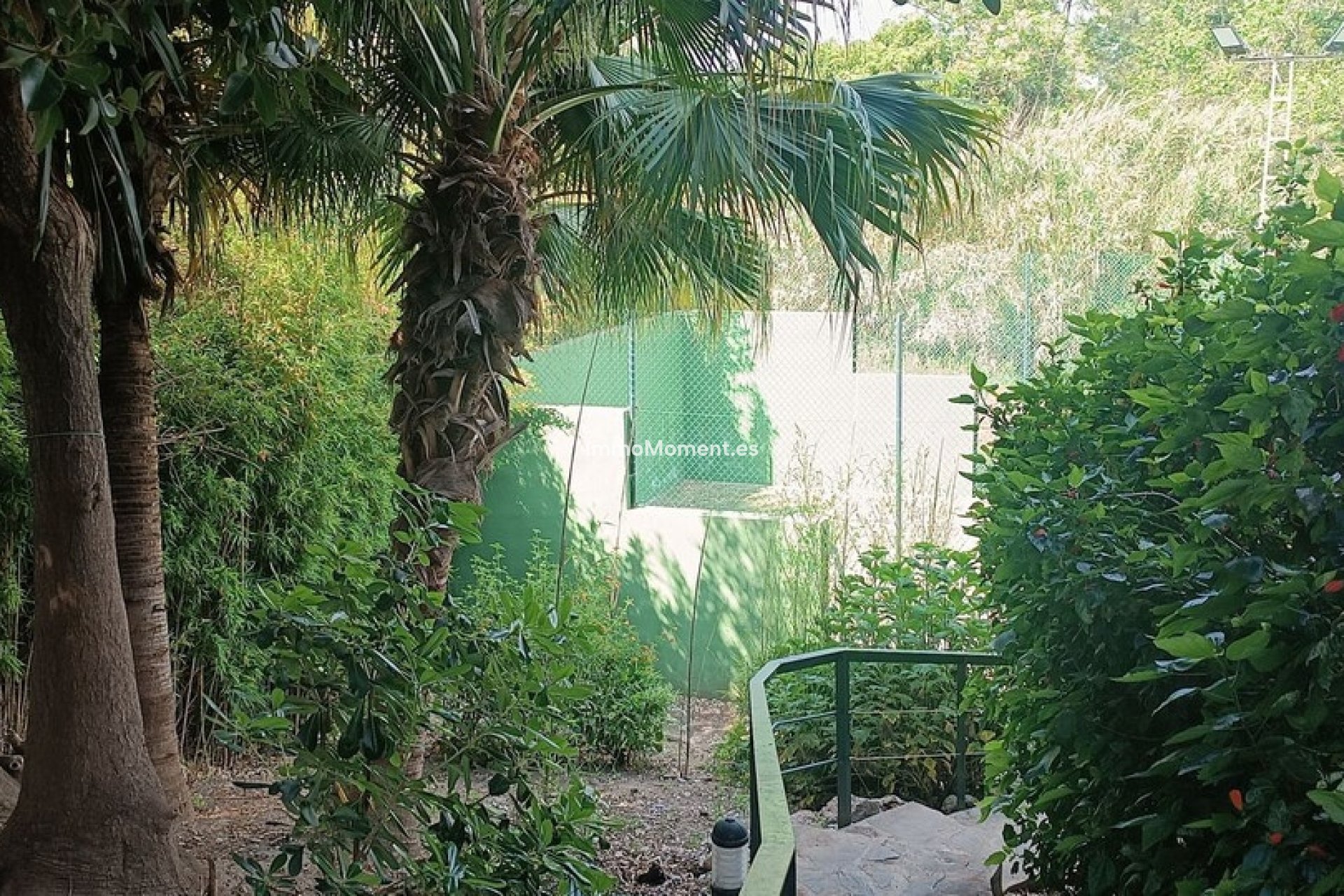 Resale - Apartment - Marbella - Guadalmina Alta