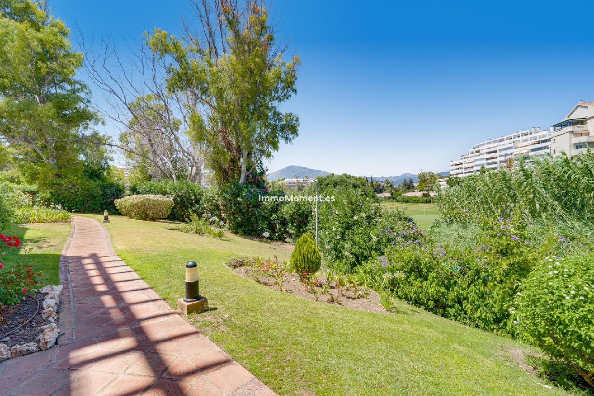 Resale - Apartment - Marbella - Guadalmina Alta