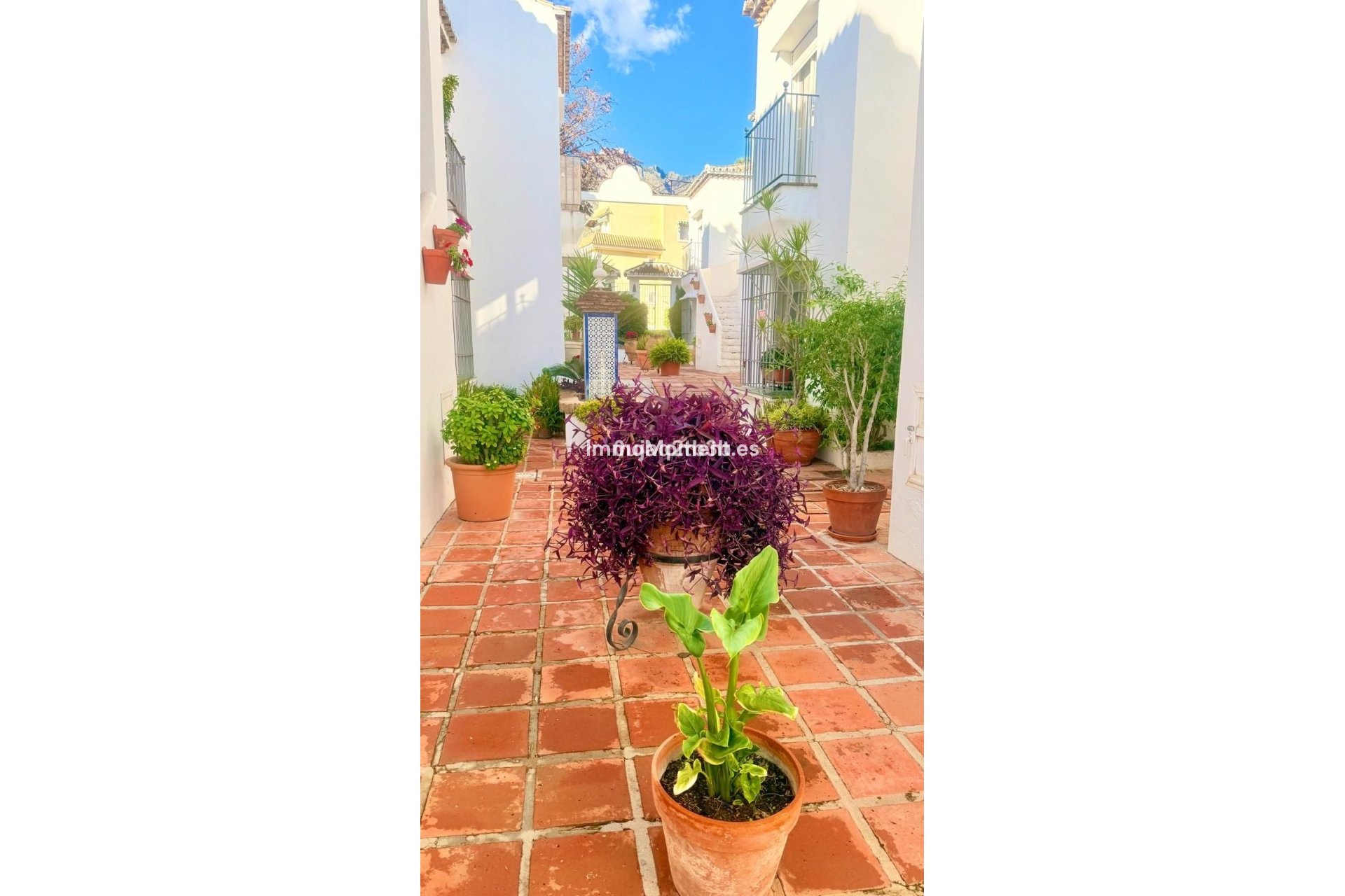 Resale - Apartment - Marbella - Nagüeles