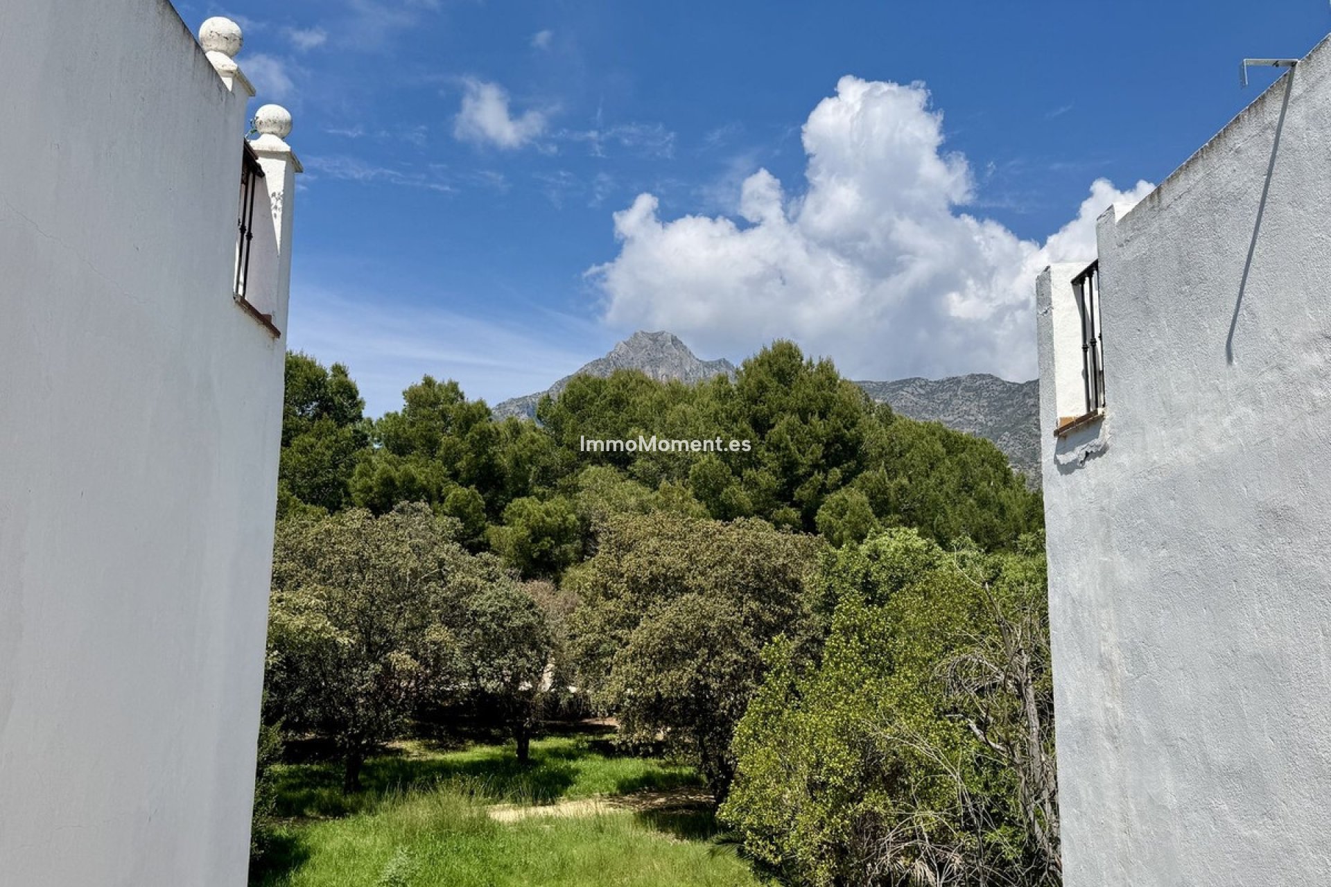 Resale - Apartment - Marbella - Nagüeles