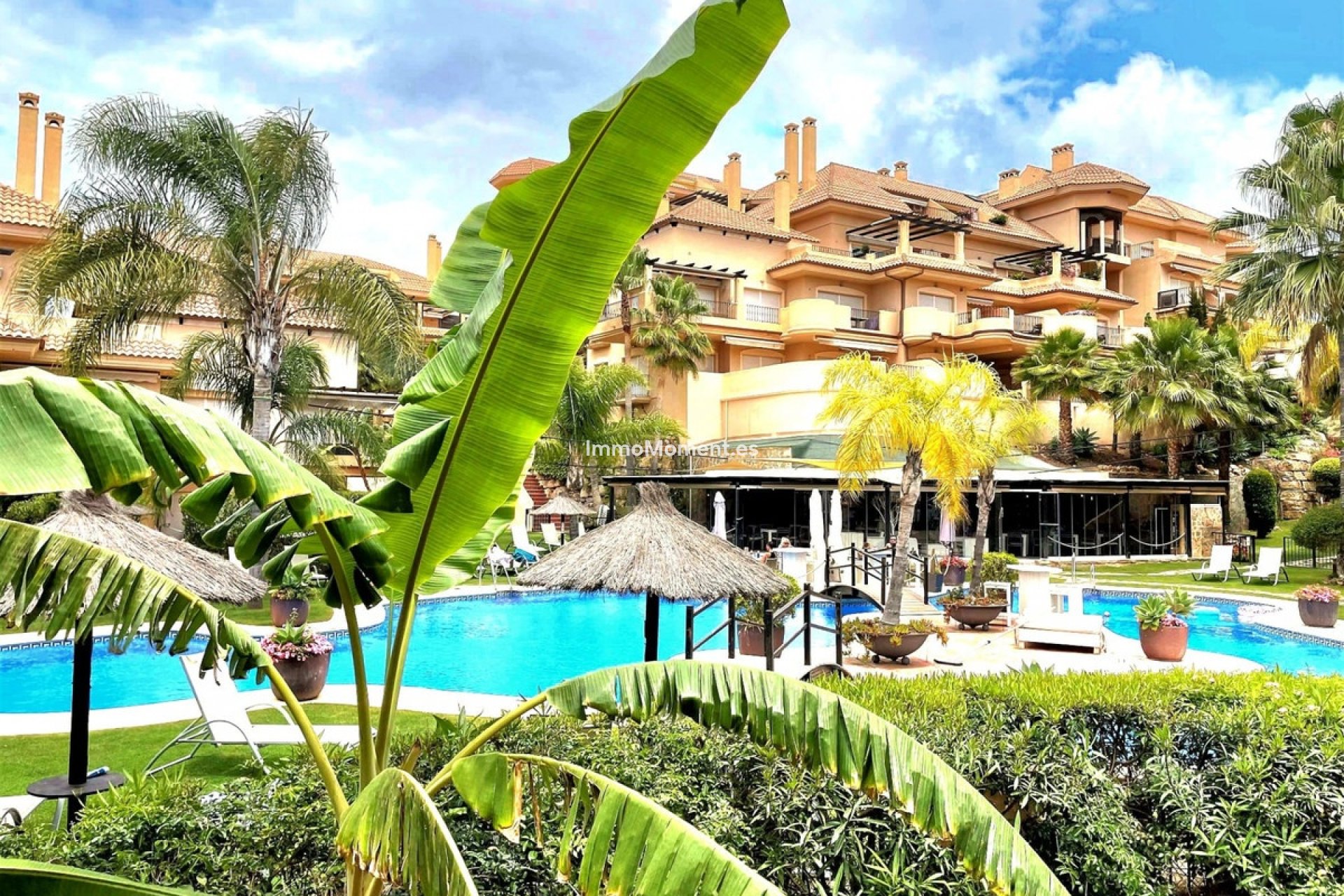 Resale - Apartment - Marbella - Nueva Andalucía