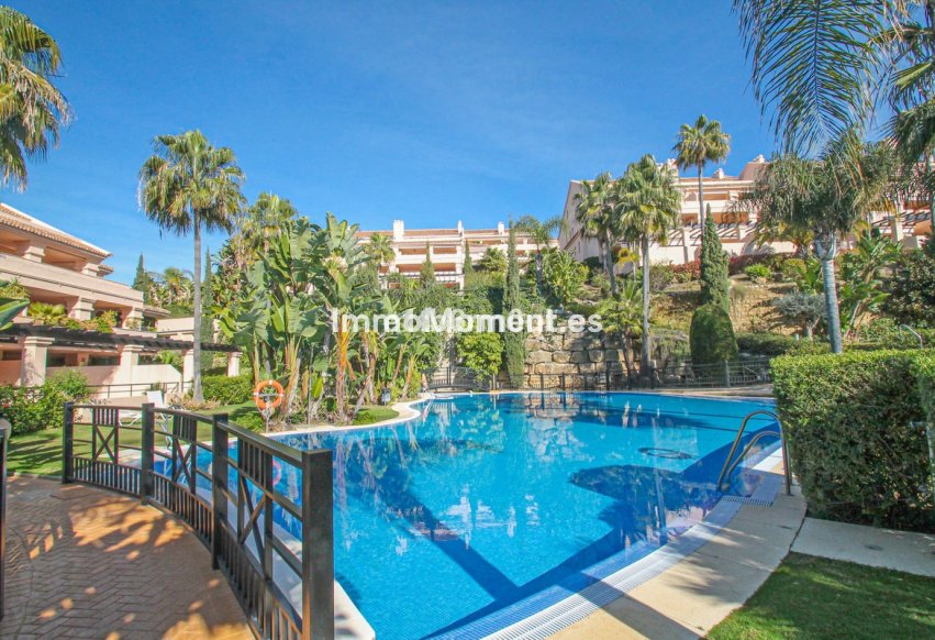 Resale - Apartment - Marbella - Nueva Andalucía