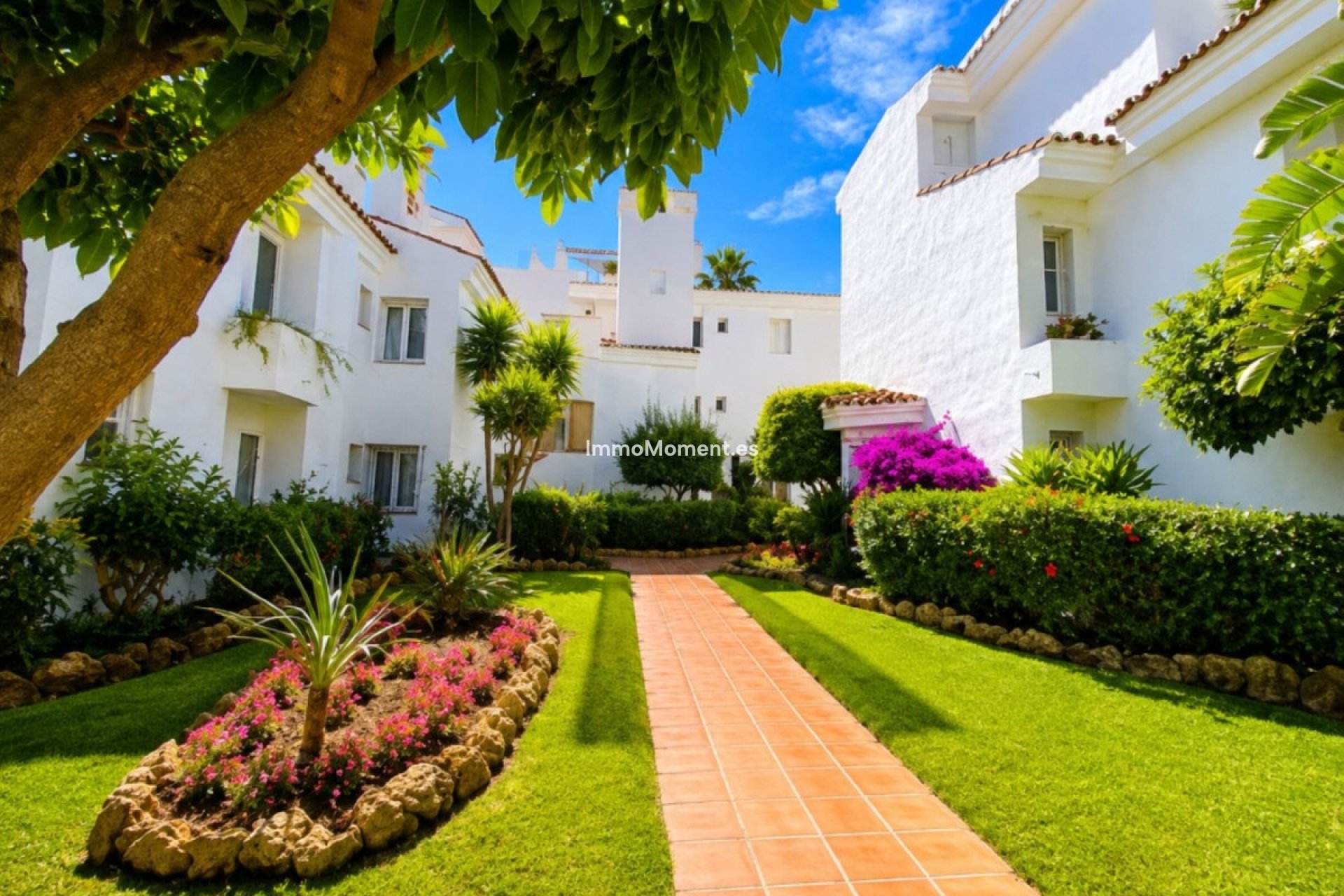 Resale - Apartment - Marbella - Nueva Andalucía