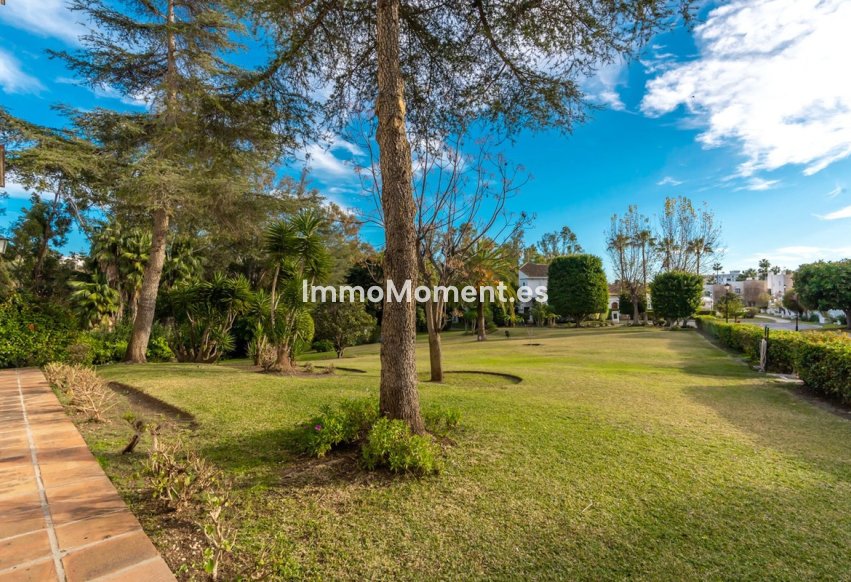 Resale - Apartment - Marbella - Nueva Andalucía