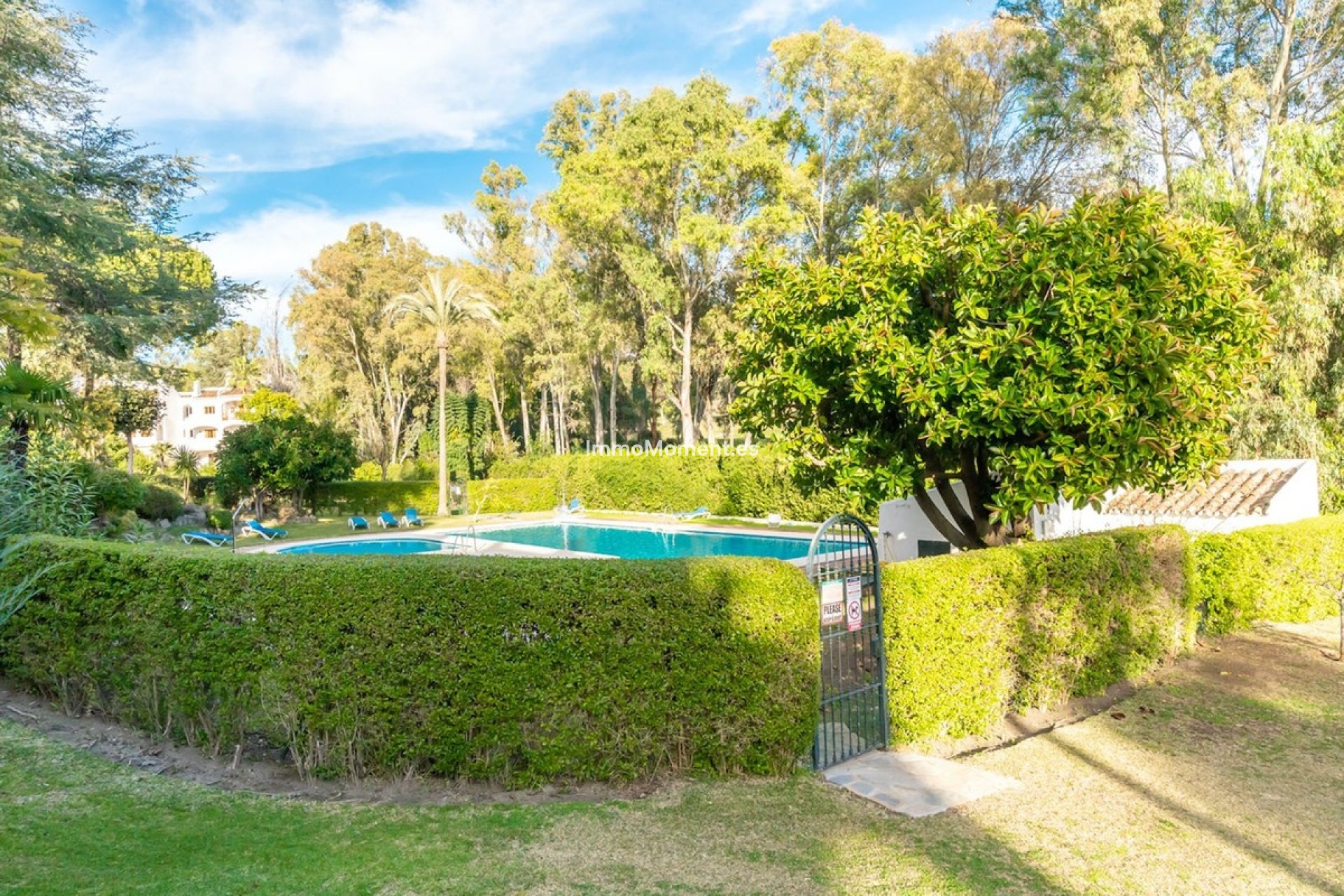 Resale - Apartment - Marbella - Nueva Andalucía
