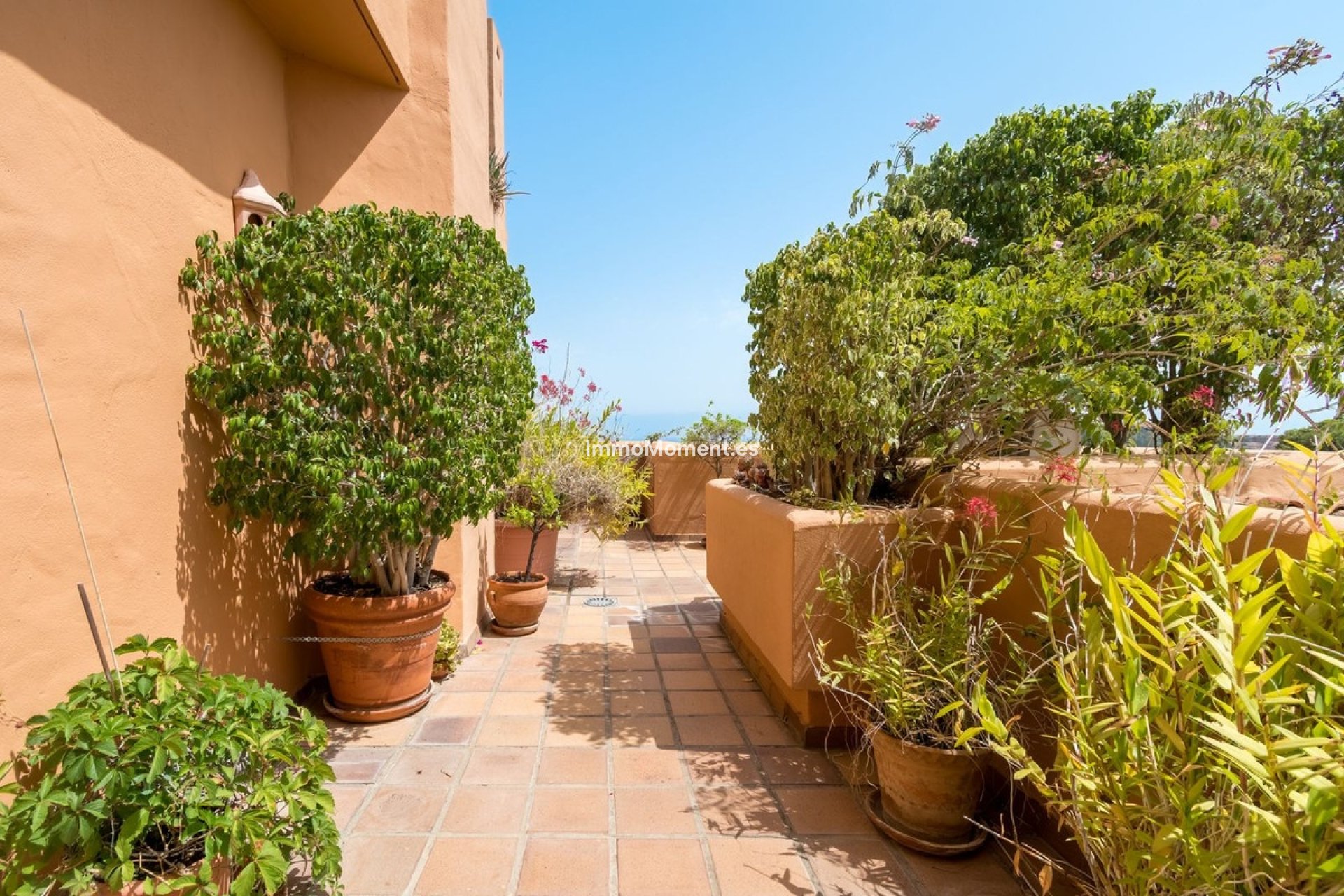 Resale - Apartment - Marbella - Nueva Andalucía