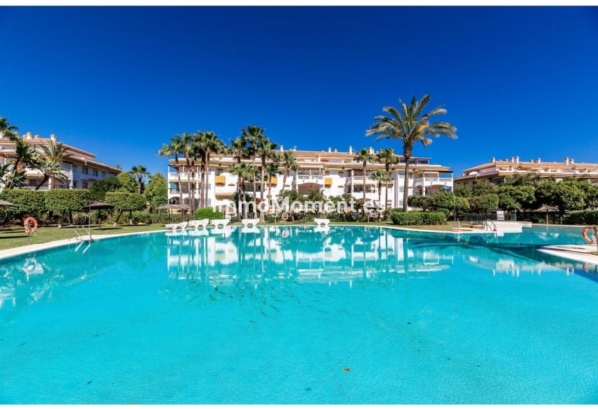 Resale - Apartment - Marbella - Nueva Andalucía
